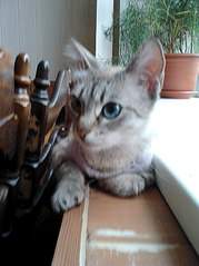 605 X 807  84.9 Kb 605 X 807  89.2 Kb 605 X 807  95.1 Kb 605 X 807 113.4 Kb 605 X 807  99.6 Kb      