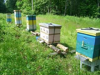 1136 X 852 207.6 Kb ������� � ������ ��� 650 ���. 3 �.