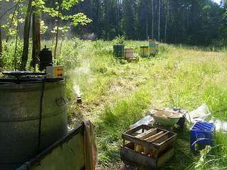 1136 X 852 173.6 Kb 1136 X 852 207.6 Kb ������� � ������ ��� 650 ���. 3 �.