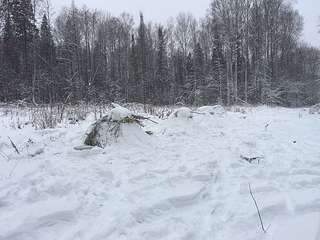 1136 X 852 121.0 Kb 1136 X 852 173.6 Kb 1136 X 852 207.6 Kb ������� � ������ ��� 650 ���. 3 �.