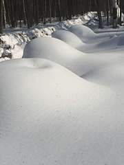 852 X 1136  48.7 Kb ������� � ������ ��� 650 ���. 3 �.