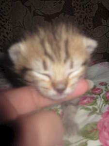 1920 X 2560 990.9 Kb      