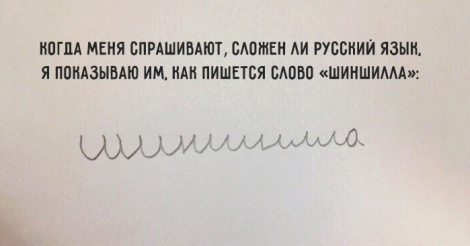 470 x 246 Шиншиллы Из Династии Чин-Чин и девчонки-скотчонки) есть шиншиллята