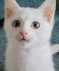 1920 X 2319 999.3 Kb    