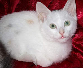 1920 X 1565 890.9 Kb 1920 X 2319 999.3 Kb    