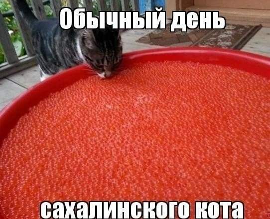 542 x 439 Улыбнемся?
