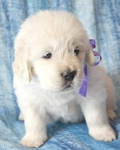 1602 X 2000 801.5 Kb   