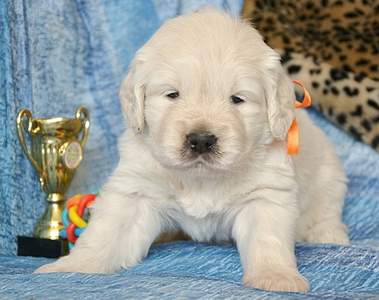 1920 X 1518 863.1 Kb   