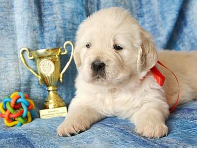 1920 X 1440 913.6 Kb 1920 X 1518 863.1 Kb   