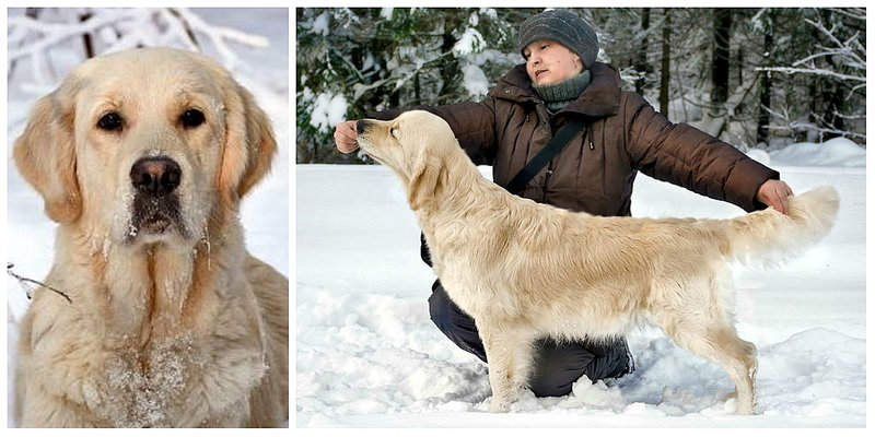 1200 X 600 157.4 Kb 1200 X 672 184.0 Kb   