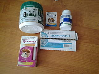 1920 X 1440 831.2 Kb  