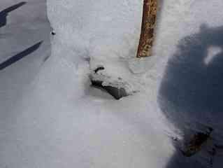 1420 X 1065  43.0 Kb ������� � ������ ��� 650 ���. 3 �.