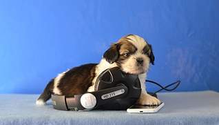 1920 X 1090 588.5 Kb  -