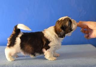 1920 X 1351 758.6 Kb 1920 X 1388 708.8 Kb 1920 X 1090 588.5 Kb  -