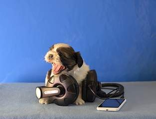 1920 X 1472 726.3 Kb 1920 X 1351 758.6 Kb 1920 X 1388 708.8 Kb 1920 X 1090 588.5 Kb  -