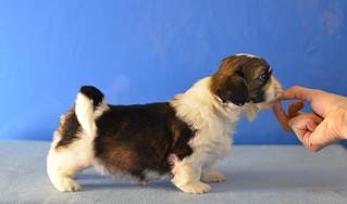 1920 X 1131 642.7 Kb  -