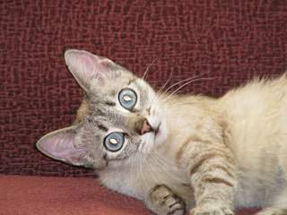 1280 X 960 196.9 Kb 1280 X 960 211.0 Kb      