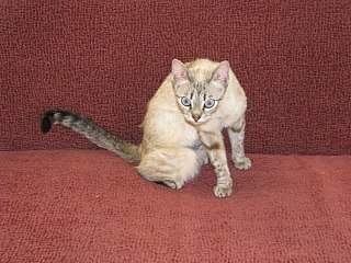 1280 X 960 255.6 Kb 1280 X 960 225.8 Kb 1280 X 960 196.9 Kb 1280 X 960 211.0 Kb      