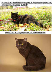 1920 X 2674 545.7 Kb   !