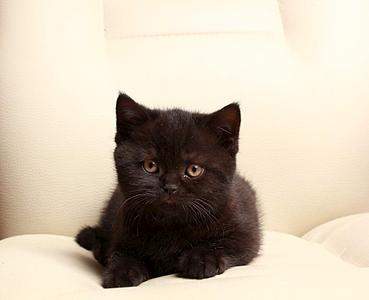 945 X 768  55.7 Kb   !