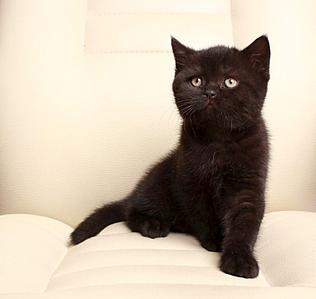 811 X 768  55.0 Kb 945 X 768  55.7 Kb   !