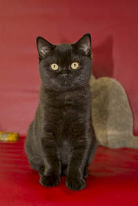 1920 X 2869 281.8 Kb 1024 X 683 112.6 Kb 768 X 996 308.5 Kb 811 X 768  55.0 Kb 945 X 768  55.7 Kb   !