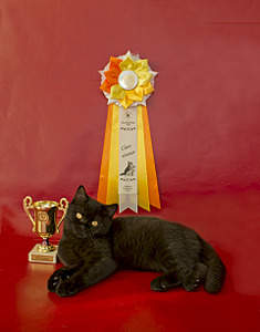 1920 X 2450 733.9 Kb   !