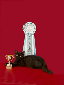 1920 X 2561 427.3 Kb 1920 X 2450 733.9 Kb   !