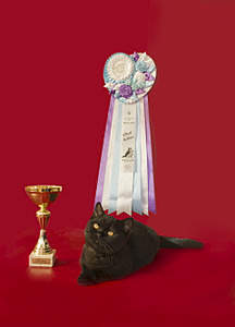 1920 X 2666 391.2 Kb 1920 X 2561 427.3 Kb 1920 X 2450 733.9 Kb   !