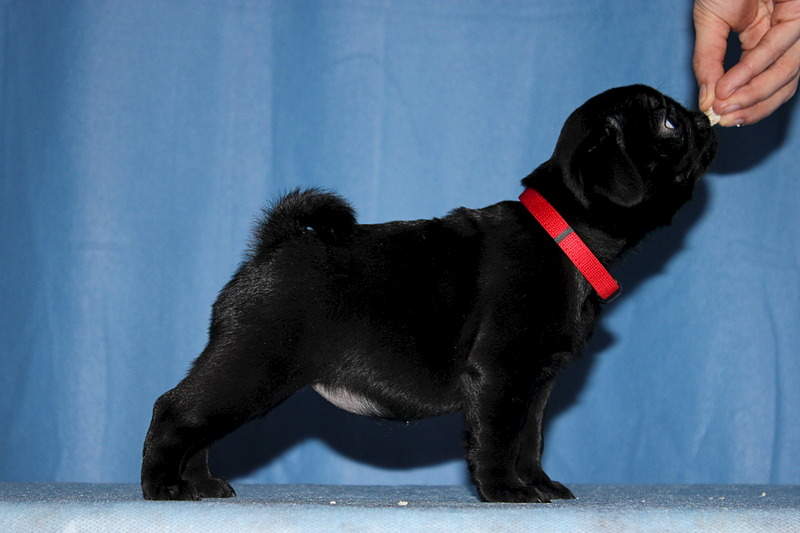 1920 X 1280 402.3 Kb  -  !