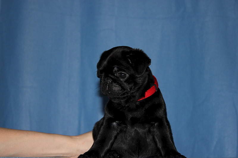 1920 X 1280 341.4 Kb 1920 X 1280 402.3 Kb  -  !