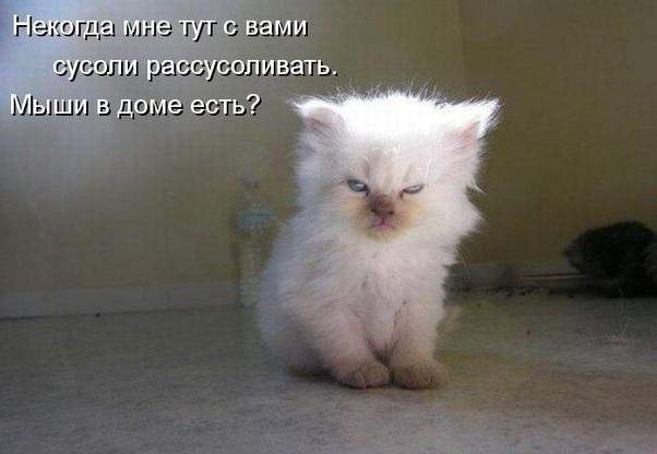 602 x 416 Улыбнемся?