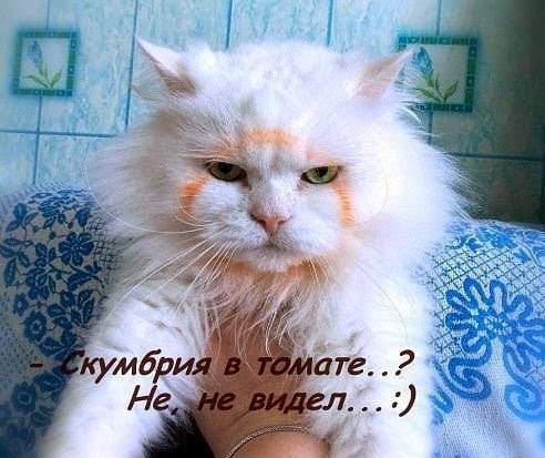 492 x 413 602 x 416 Улыбнемся?