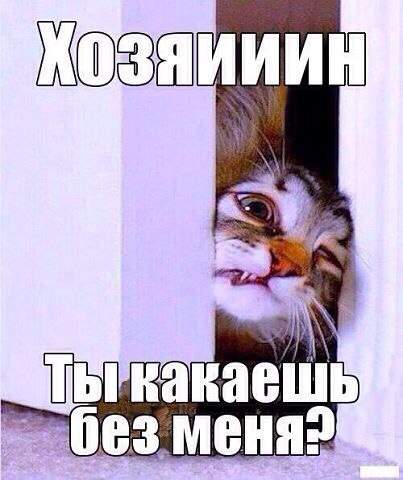 403 x 480 492 x 413 602 x 416 Улыбнемся?