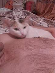 768 X 1024 104.6 Kb  .    .