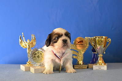 1920 X 1271 997.6 Kb 1920 X 882 567.6 Kb  -