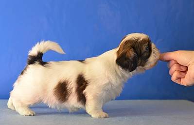 1920 X 1239 627.7 Kb 1920 X 1271 997.6 Kb 1920 X 882 567.6 Kb  -