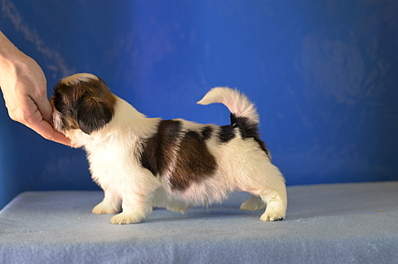 1920 X 1271 159.1 Kb 1920 X 1239 627.7 Kb 1920 X 1271 997.6 Kb 1920 X 882 567.6 Kb  -