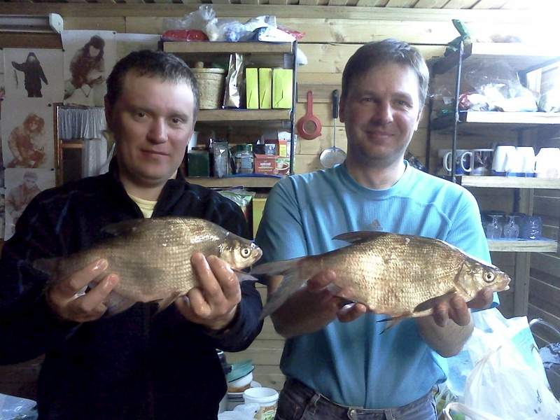 1280 X 960 323.1 Kb   , !