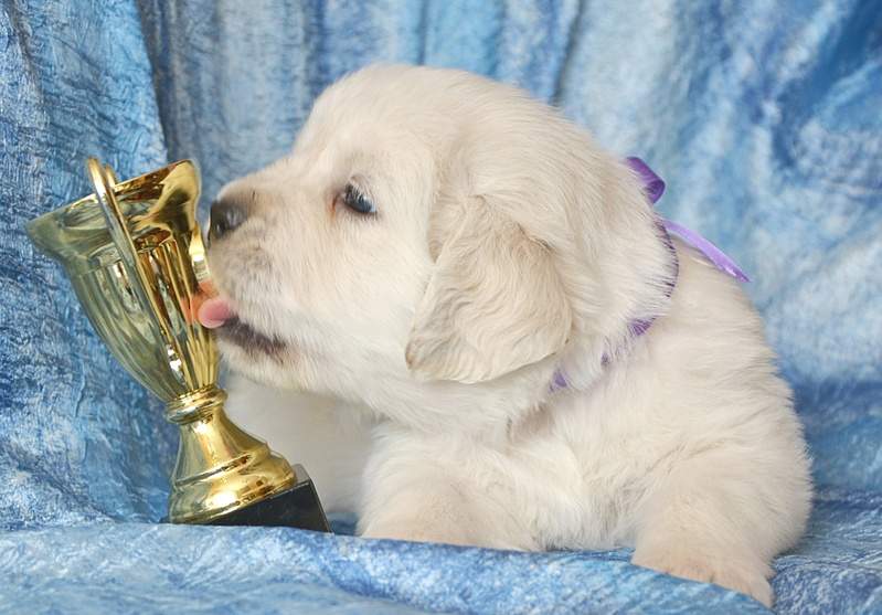 1920 X 1337 649.1 Kb   