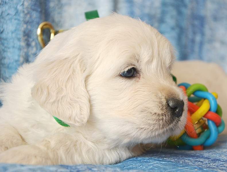 1920 X 1455 804.4 Kb 1920 X 1410 839.5 Kb 1920 X 1337 649.1 Kb   