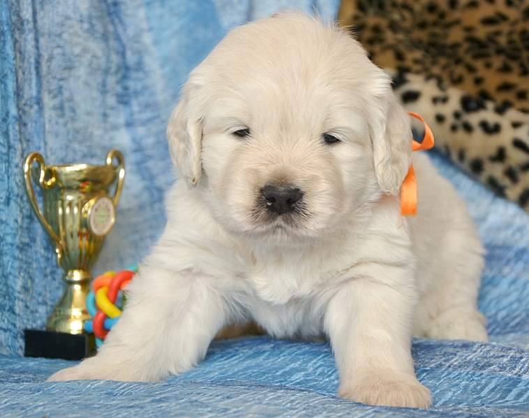 1920 X 1518 863.1 Kb 1920 X 1455 804.4 Kb 1920 X 1410 839.5 Kb 1920 X 1337 649.1 Kb   