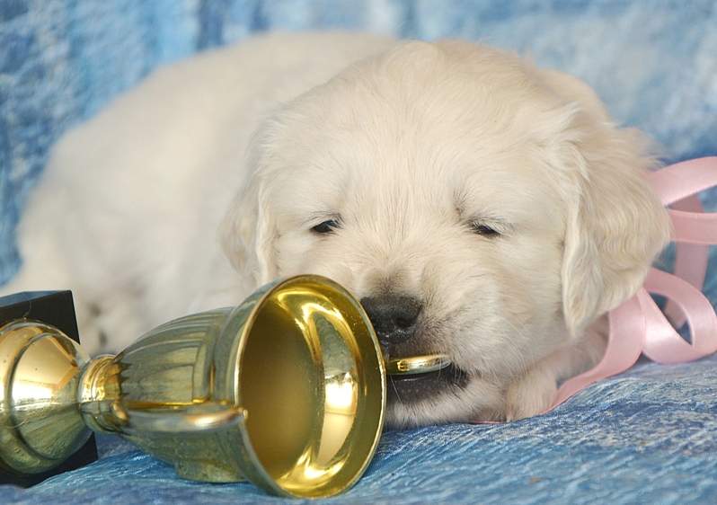 1920 X 1351 759.5 Kb   