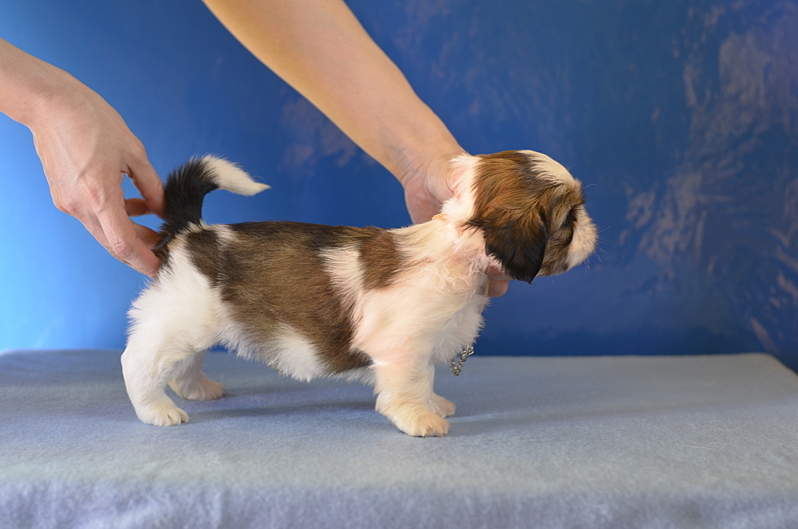 1920 X 1271 164.3 Kb 1920 X 1271 961.8 Kb  -