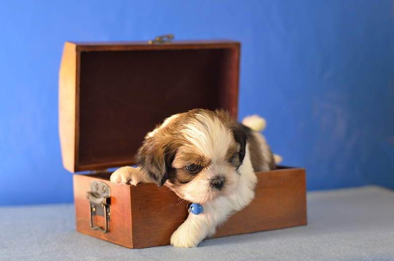 1920 X 1271 929.9 Kb 1920 X 1271 164.3 Kb 1920 X 1271 961.8 Kb  -