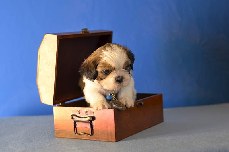 1920 X 1271 931.8 Kb 1920 X 1271 929.9 Kb 1920 X 1271 164.3 Kb 1920 X 1271 961.8 Kb  -