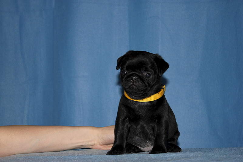 1920 X 1280 381.7 Kb  -  !