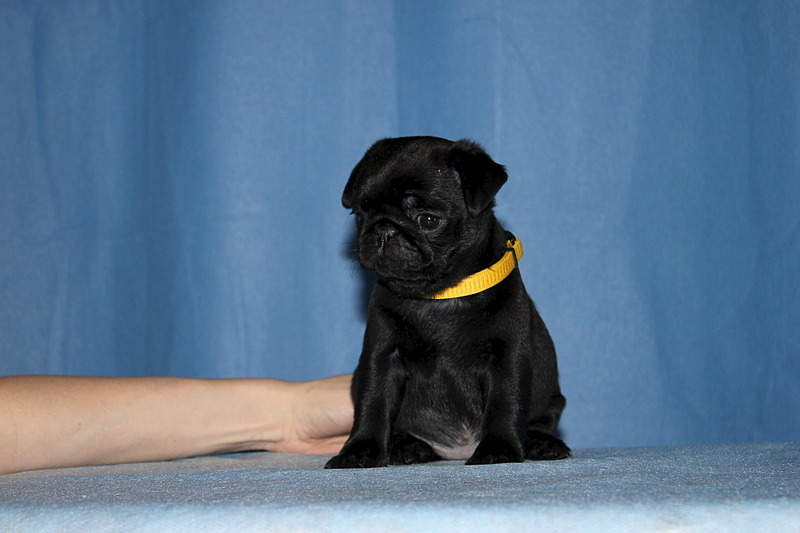 1920 X 1280 379.6 Kb 1920 X 1280 381.7 Kb  -  !