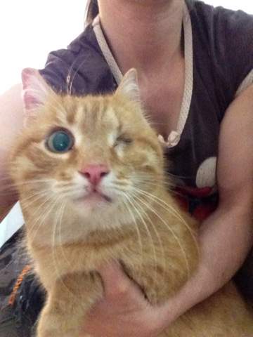 360 x 480 !   !   , ,    ! 