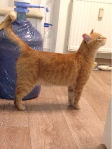 361 x 480 360 x 480 360 x 480 !   !   , ,    ! 